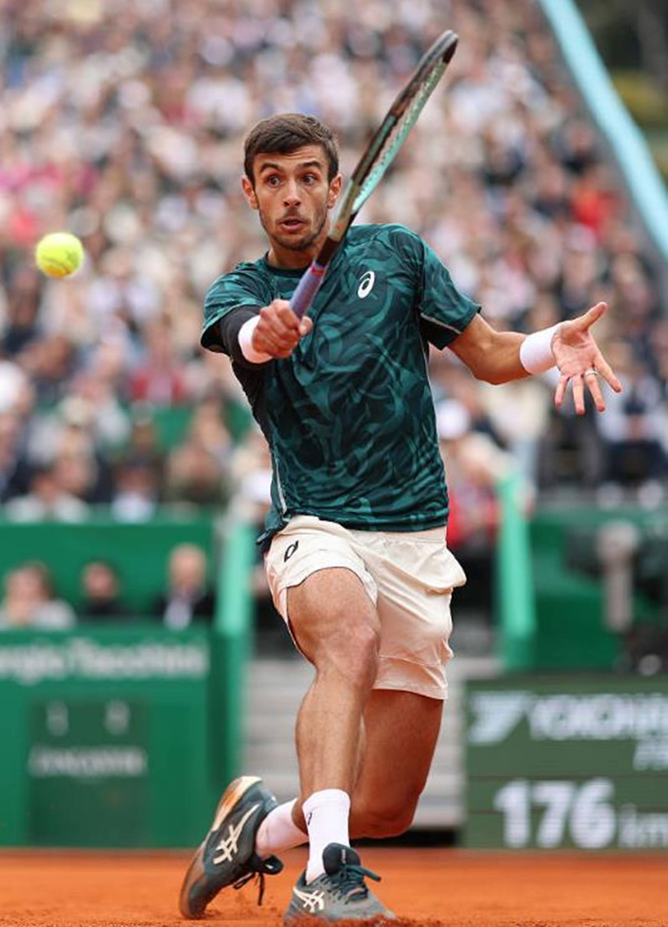 广州队多次 广州队多次